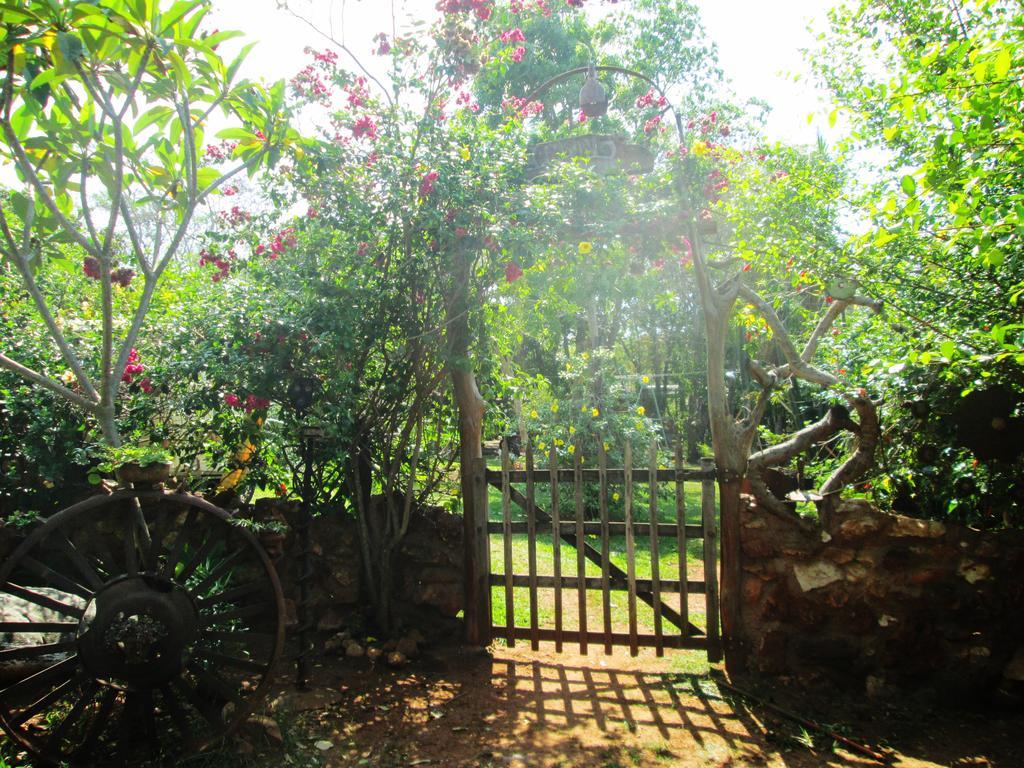 Camping Nomadas โบนิโต ภายนอก รูปภาพ